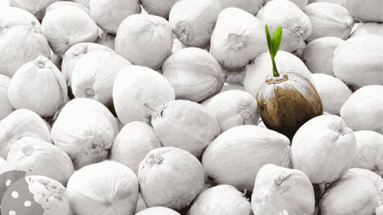 Les exigeances de linkedin